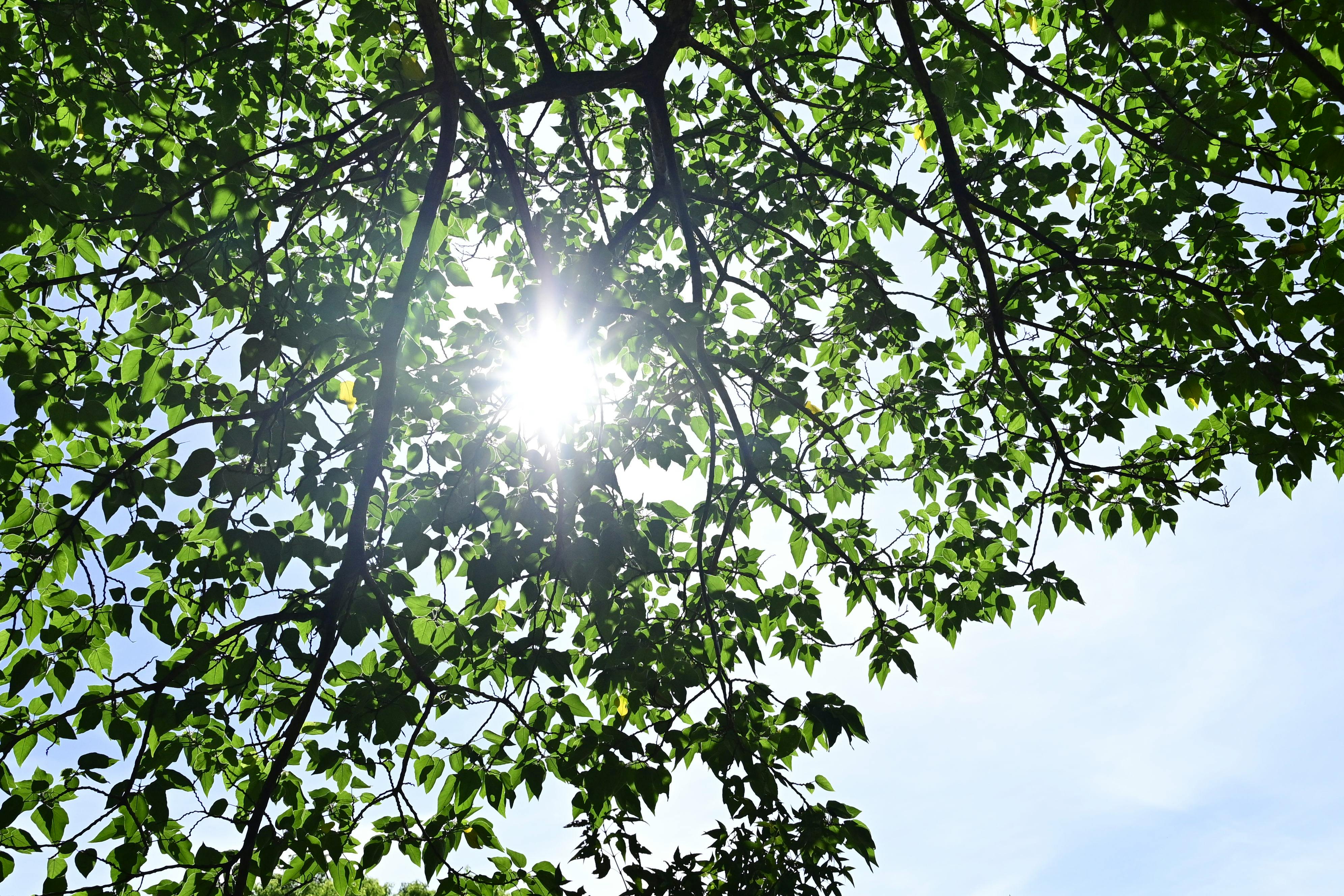 Signs of Vitamin D Deficiency: What to Watch For